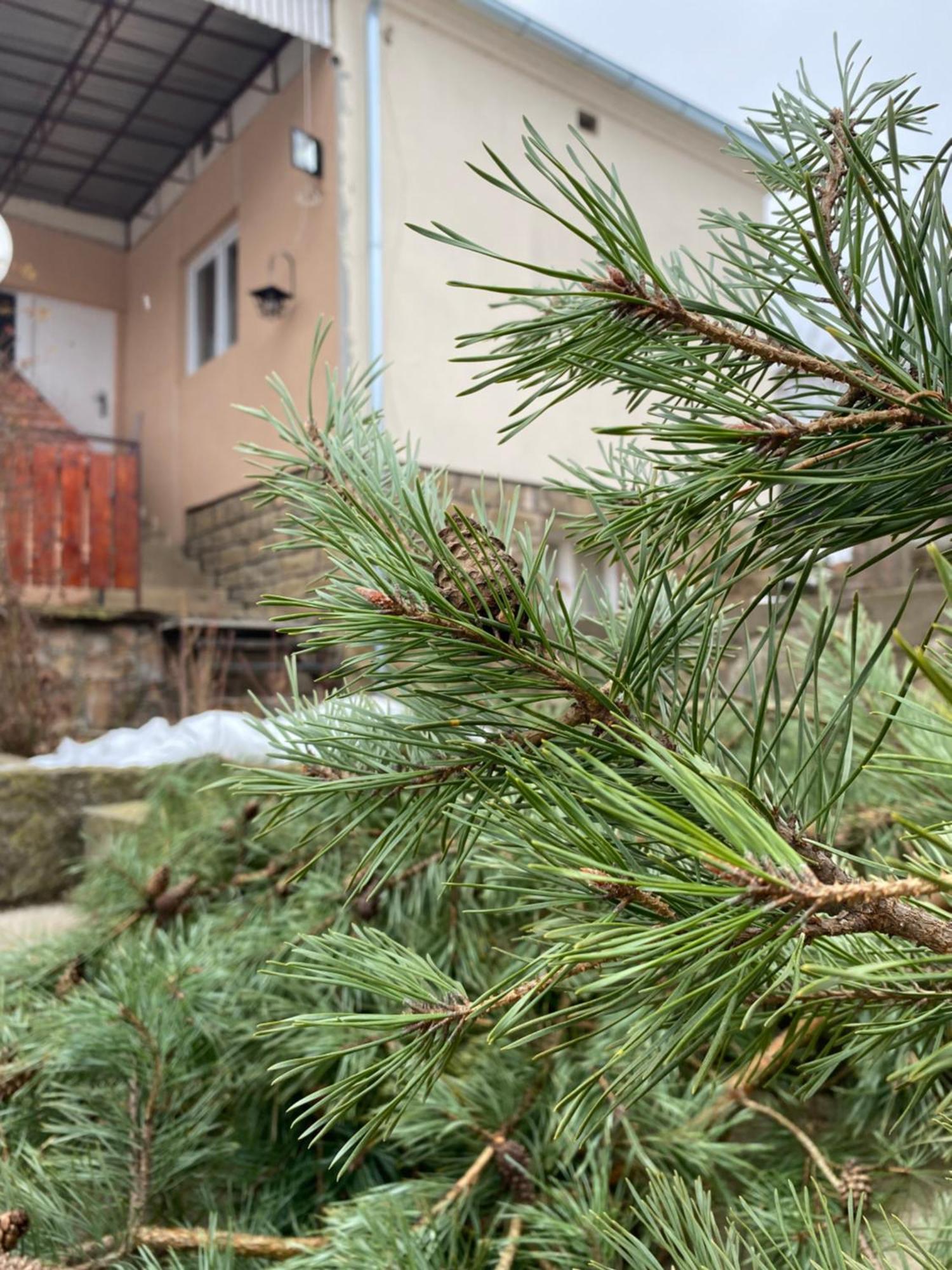 Apartamento Seosko Turisticko Domacinstvo Stanisic Kalna Exterior foto